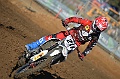 _ROB6786 (Copy)